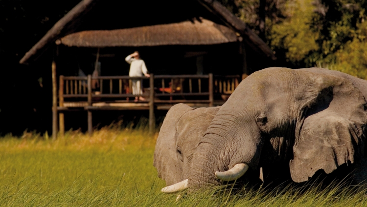 Khwai River Lodge, A Belmond Safari - Elefant